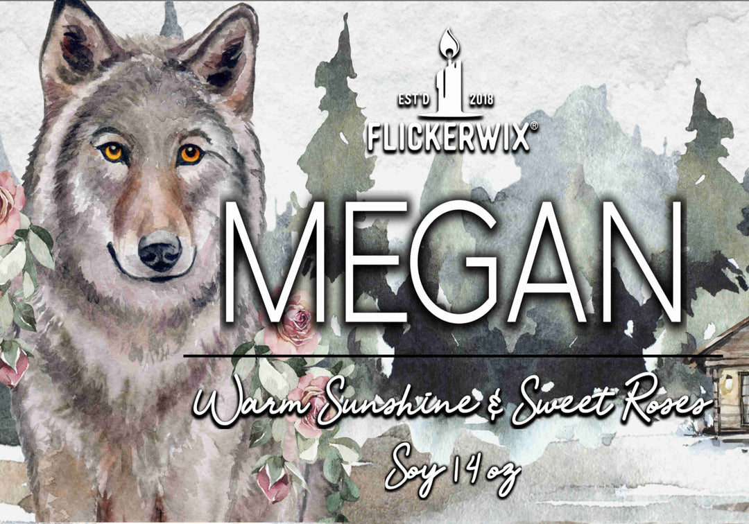 Megan (Wolves of Rock Falls)